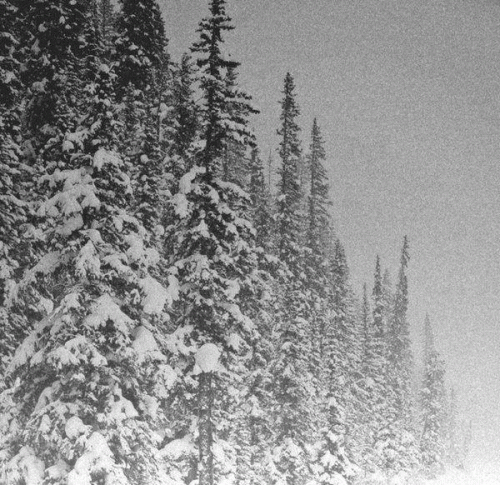 Vintlechkeit : Svartskogen, Svartvinter​.​.​.